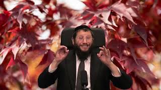 פרשת משפטים – משמעות המחלות, המחלה כעצירה מן השמים שער לחשבון נפש ולהתחדשות פנימית – הרב אייל אונגר (הרב אייל אונגר) - התמונה מוצגת ישירות מתוך אתר האינטרנט יוטיוב. זכויות היוצרים בתמונה שייכות ליוצרה. קישור קרדיט למקור התוכן נמצא בתוך דף הסרטון