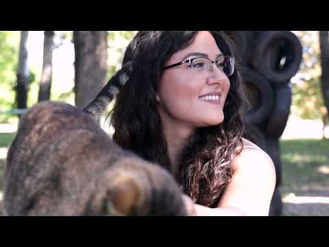 Moj savršeni ljubimac ep. 165 15.08.2022. Animal Rescue Srbija, Aleksandar Gavrić