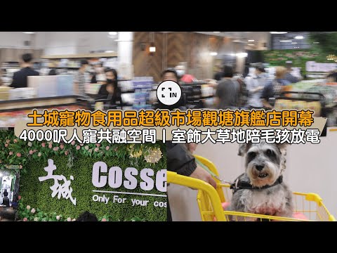 土城寵物食用品超級市場觀塘旗艦店開幕｜4000呎人寵共融空間｜室內大草地陪毛孩放電