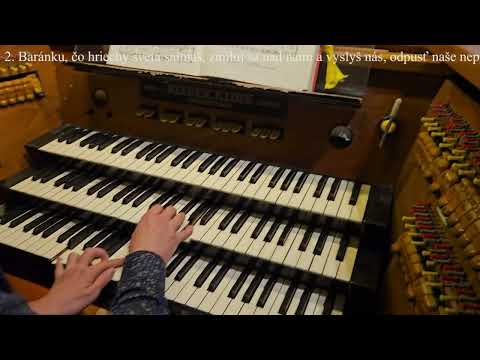 JKS 298 - Vitaj, spása duší (Dóm sv. Alžbety)