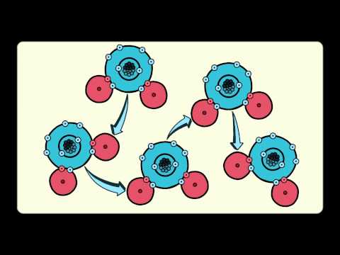 How polarity makes water behave strangely   Christina Kleinberg