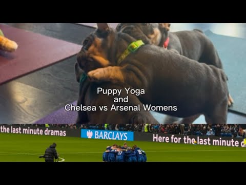 Weekend vlog ✨ puppy yoga and Chelsea vs Arsenal women’s match