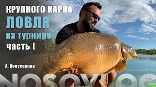 Журналы по карповой ловле