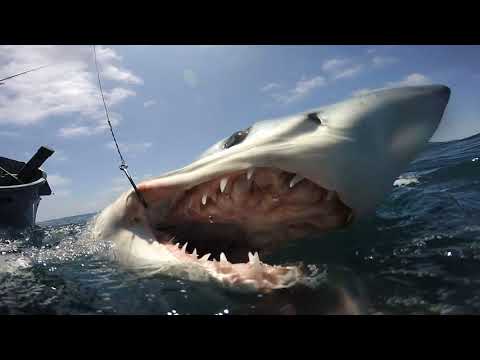 KALAPU TEMATA (LOMAIVITI) NO'O 'ANGA