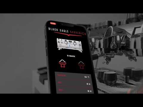 Black Eagle Maverick by Victoria Arduino Black Eagle Maverick by Victoria Arduino
