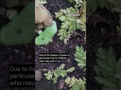 Russian PFM-1 Mine Looks Like Children's Toy #warinukraine