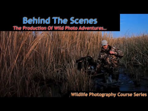 Secrets of Thrilling Wildlife Photography