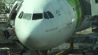 preview picture of video 'TAP Portugal A319 330-200 340-300 320 round trip flights from Madeira to Galeão-Antonio Carlos Jobim'