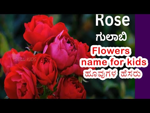 Flowers Names in English & Kannada /English Vocabulary/ಹೂವುಗಳ ಹೆಸರು#kids