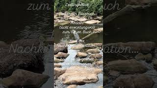 ZwillingsBlick - Reiher am Ellerbach - ein Freund von Dr. Rodolfo - blickt erwartungsvoll zum neuen Buch. Heute fertig gestellt!