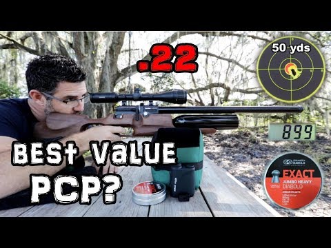 Kral Puncher Jumbo .22 Luftgewehr + 50 & 100 Yard Genauigkeitstest + VOLLSTÄNDIGER BERICHT - PCP ...