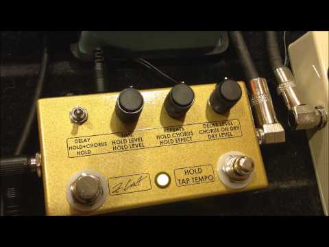 Immagine ZCAT  Hold-Delay-Chorus - 3