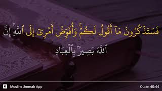 Download lagu Ghafir ayat 44 mp3 Download lagu Ghafir ayat 44 mp3