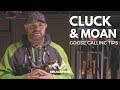 Goose Calling Tip Perfecting The Goose Cluck And Moan