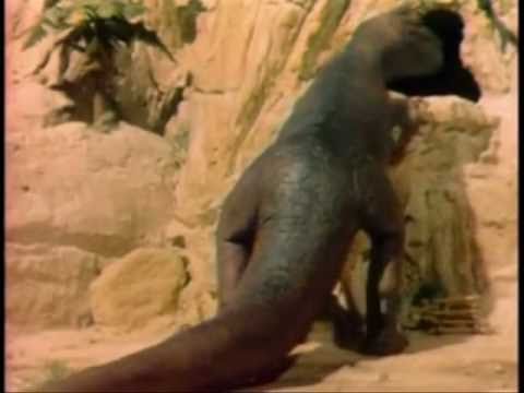 Dinossauro - Babau do Pandeiro