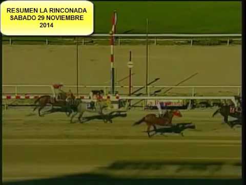RESUMEN LA RINCONADA SABADO 29 NOVIEMBRE 2014