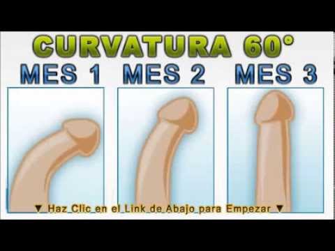 Il modo migliore per avviare una donna Piccoli membri quanti centimetri