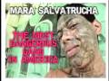 MS-13 Mara Salvatrucha Trece / 1 Hr Documentary ...