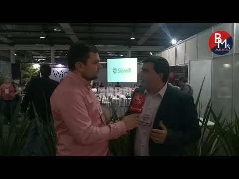 Consumo de vinho no Brasil aumenta 300% nos últimos quatro anos