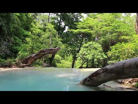 Calming Waters 🏞️ Nature's Relaxation Therapy 🌙 Perfect for Deep Sleep and Meditation