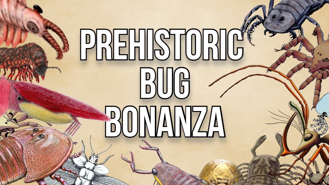 Prehistoric Bug Extravaganza