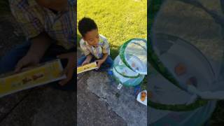 Butterflies emerged!