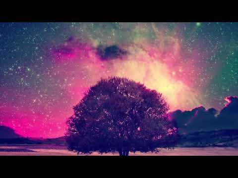 1 HORA DE MÚSICA PARA SE CONECTAR COM O TODO   528HZ 963HZ  CONEXÃO COM O TODO