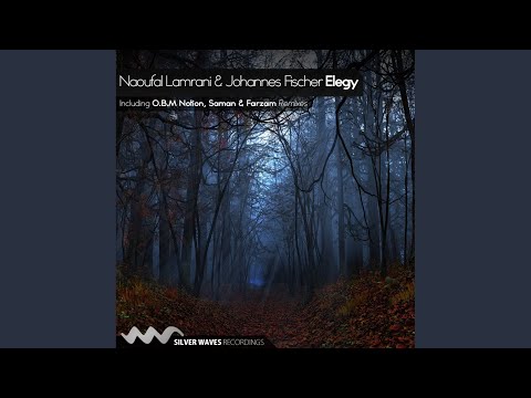 Elegy (Saman & Farzam Remix)