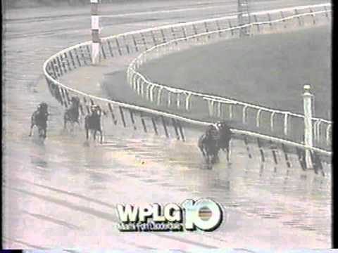 1986 Riva Ridge Stakes - Ogygian