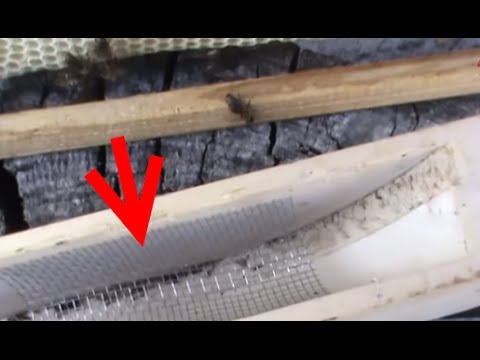 1/2 O metoda simpla si eficienta de tratament al albinelor cu varachet anti varroa apicultura