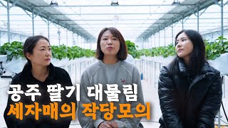[나는 농부다 385회 1부] 딸 부잣집 딸기 하우스????