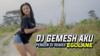 Download lagu DJ GEMES AKU ECER DANCE STYLE - KELUD PRODUCTION REMIX mp3
