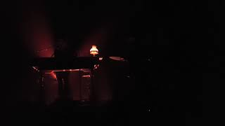 Cats On Trees - Intro Birthday fails