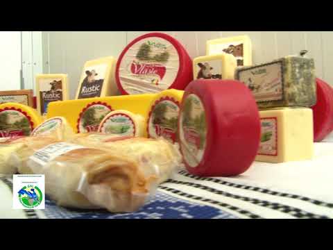 Gal Valea Baseului de Sus