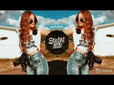 MC Daninho Feat. MC GW - Preliminar - WhatsApp Status/ Grave BregaFunk