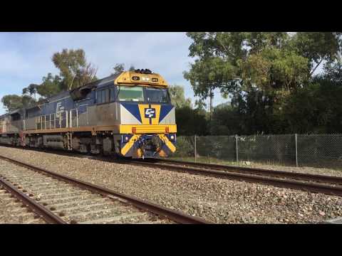 CF4410 + SCT014 + CSR011