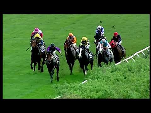 Napoli Galoppo 8/11/2021 - 4ª corsa