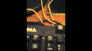 The cloud cars Old Die Young