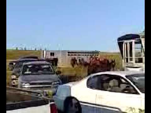 Video from hoksila's phone