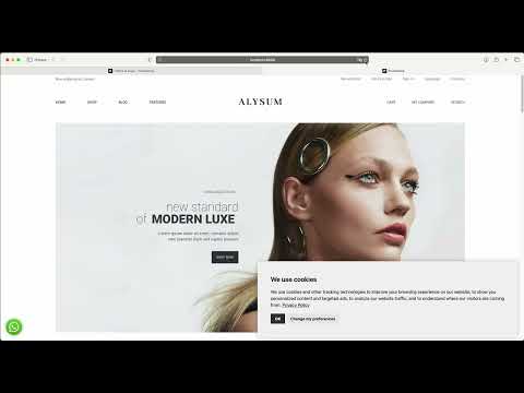 Alysum Prestashop AMP theme — Installation in browser