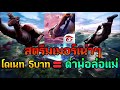 โปรเกม free fire