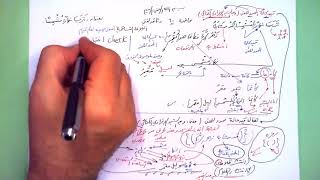 60 ★ تَرَيَا نهارًا مُشْمِسًا image