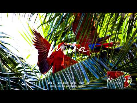 Soolking X Algerino Type Beat | Oriental Type Beat "Mira" ( Prod. NoliOnTheBeat )