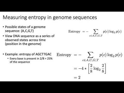 MCB 182 Lecture 7.4 - Absolute entropy of DNA sequences