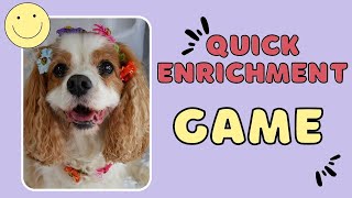 Easy Dog Enrichment Game You Can Play at Home | Brain and Fitness Games for Dogs