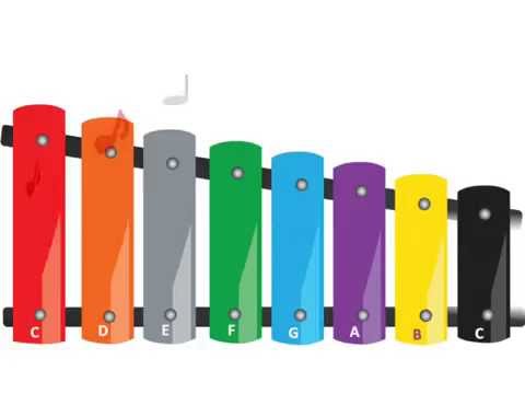 Xylophone Toy Video