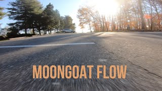 Moongoat flow| FPV Freestyle