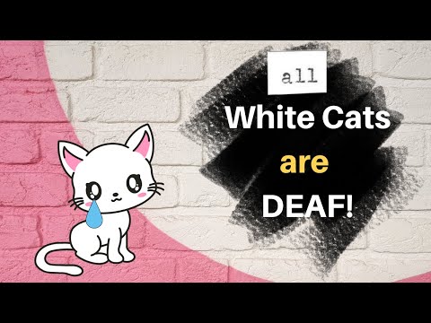 All white cats are deaf! ...myth or fact? 😻 #thingstolearnaboutcats