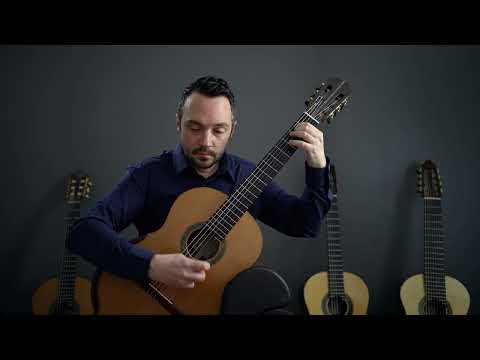 Luigi Legnani - 9 caprices on 9 guitars