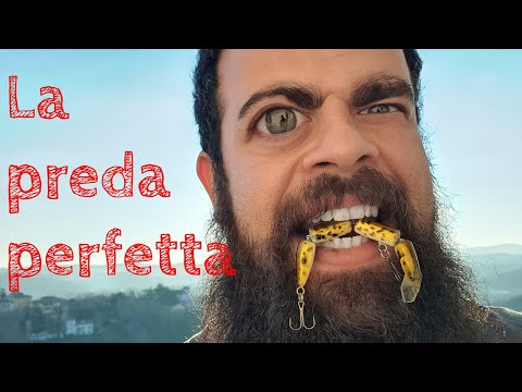 Let's build a... Loach! ⭕4-piece artificial⭕